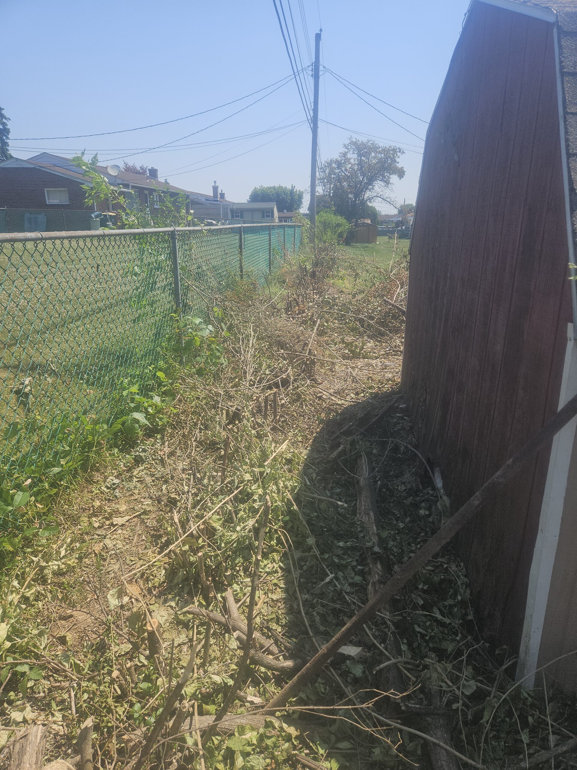 24-stump-grinding-services-2