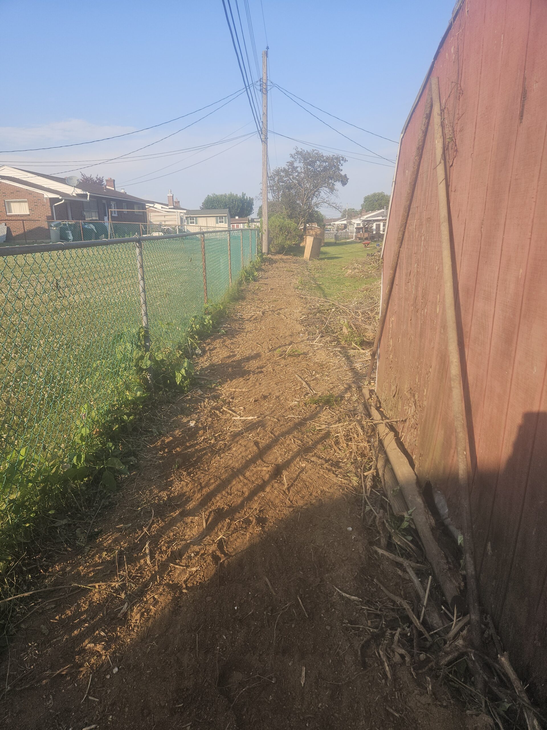 24-stump-grinding-services-4