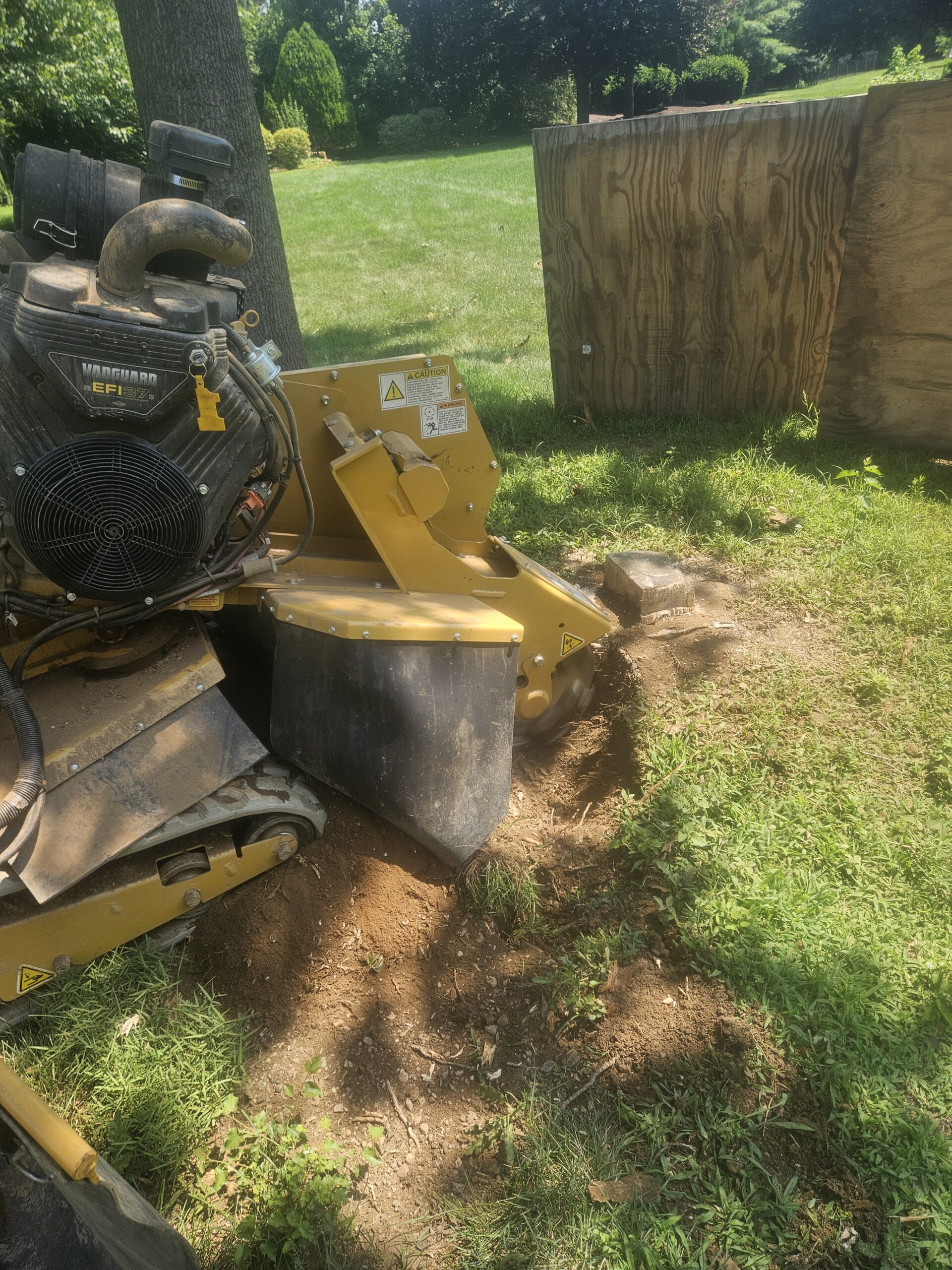 24-stump-grinding-services-5
