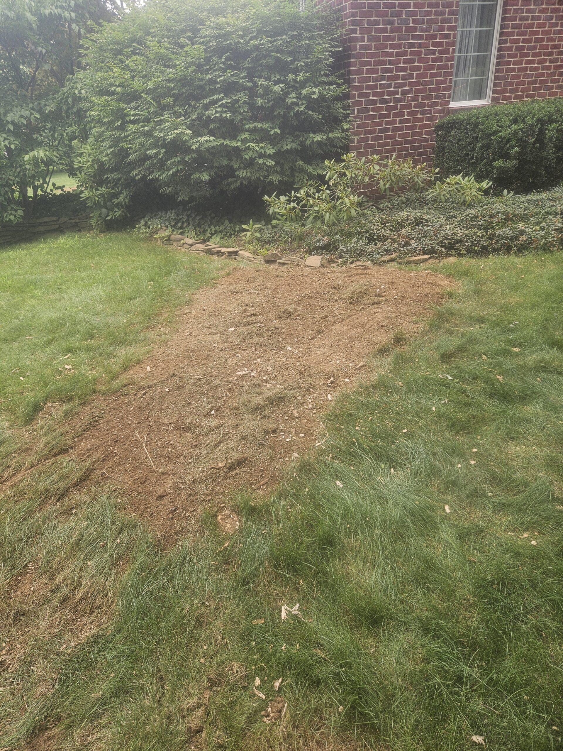 24-stump-grinding-services-7