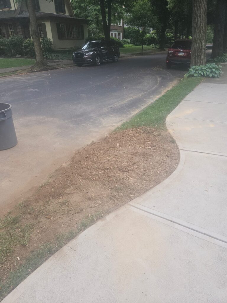 24-stump-grinding-services-8