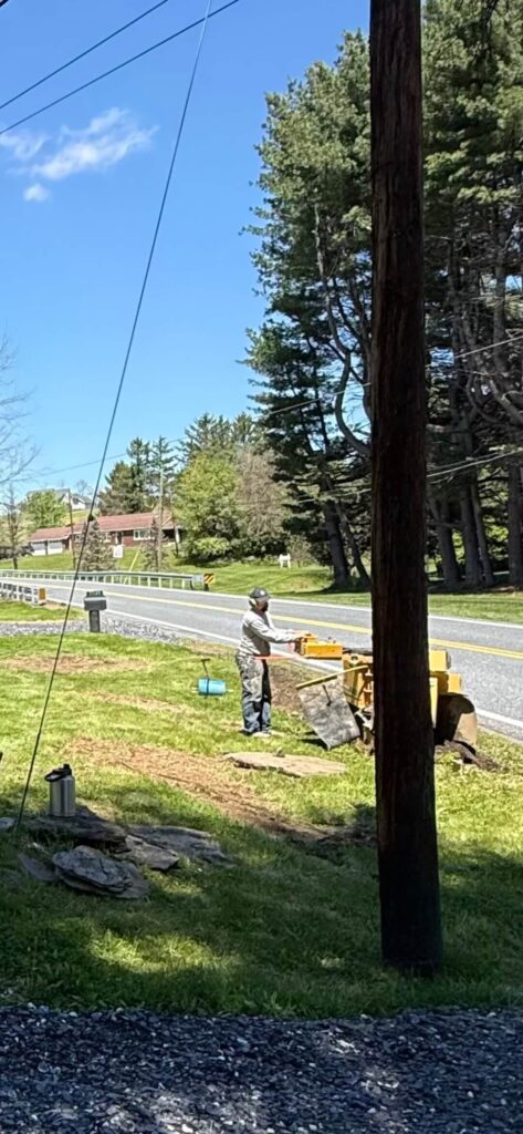 24-stump-grinding-allentown-project-image-6