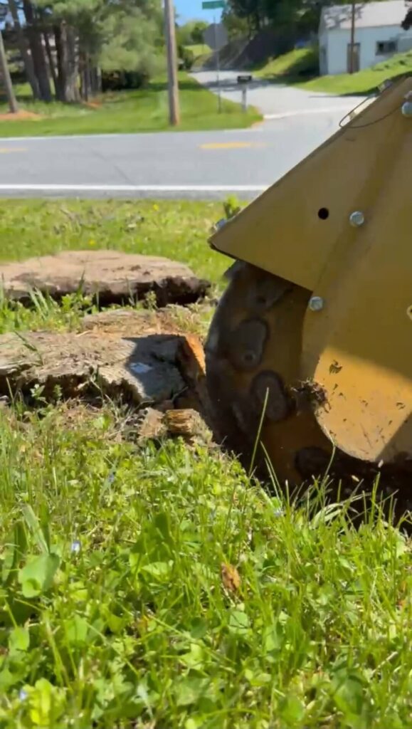 24-stump-grinding-allentown-project-image-7