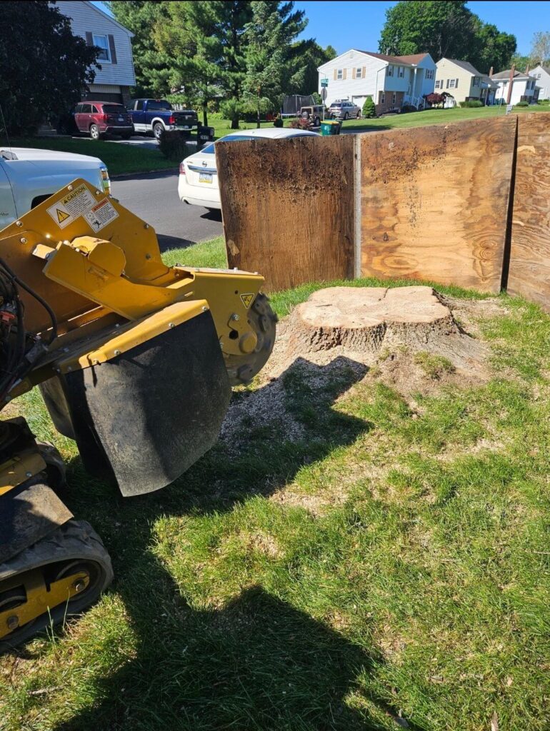 24-stump-grinding-allentown-project-image-8